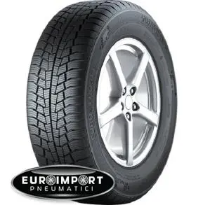 Gislaved Eurofrost 6 185/70 R14 88 T  TL